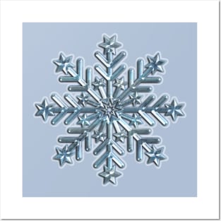 Snowflake I Posters and Art